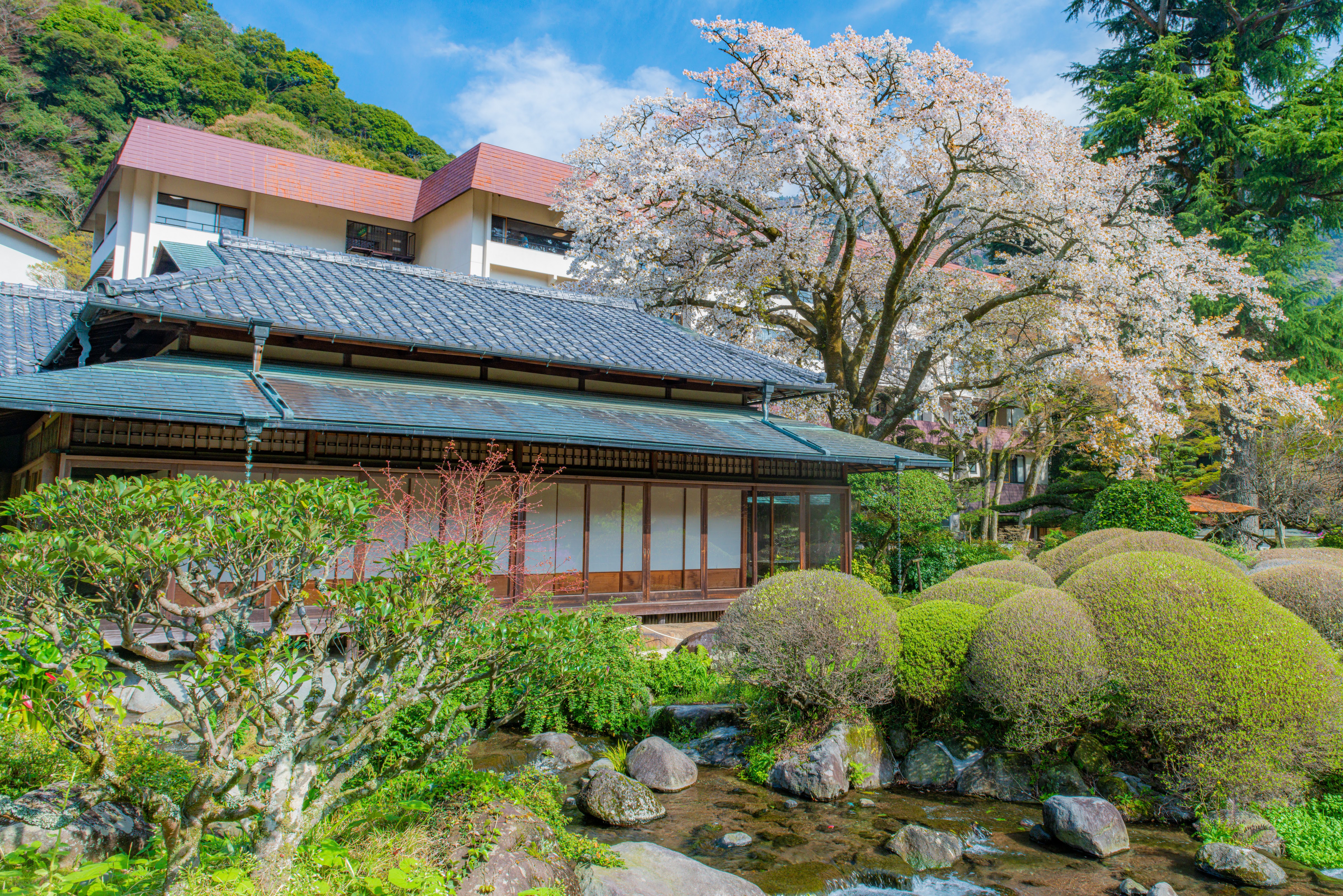 Picture for Hakone Yumoto Hotel (or similar ryokan)