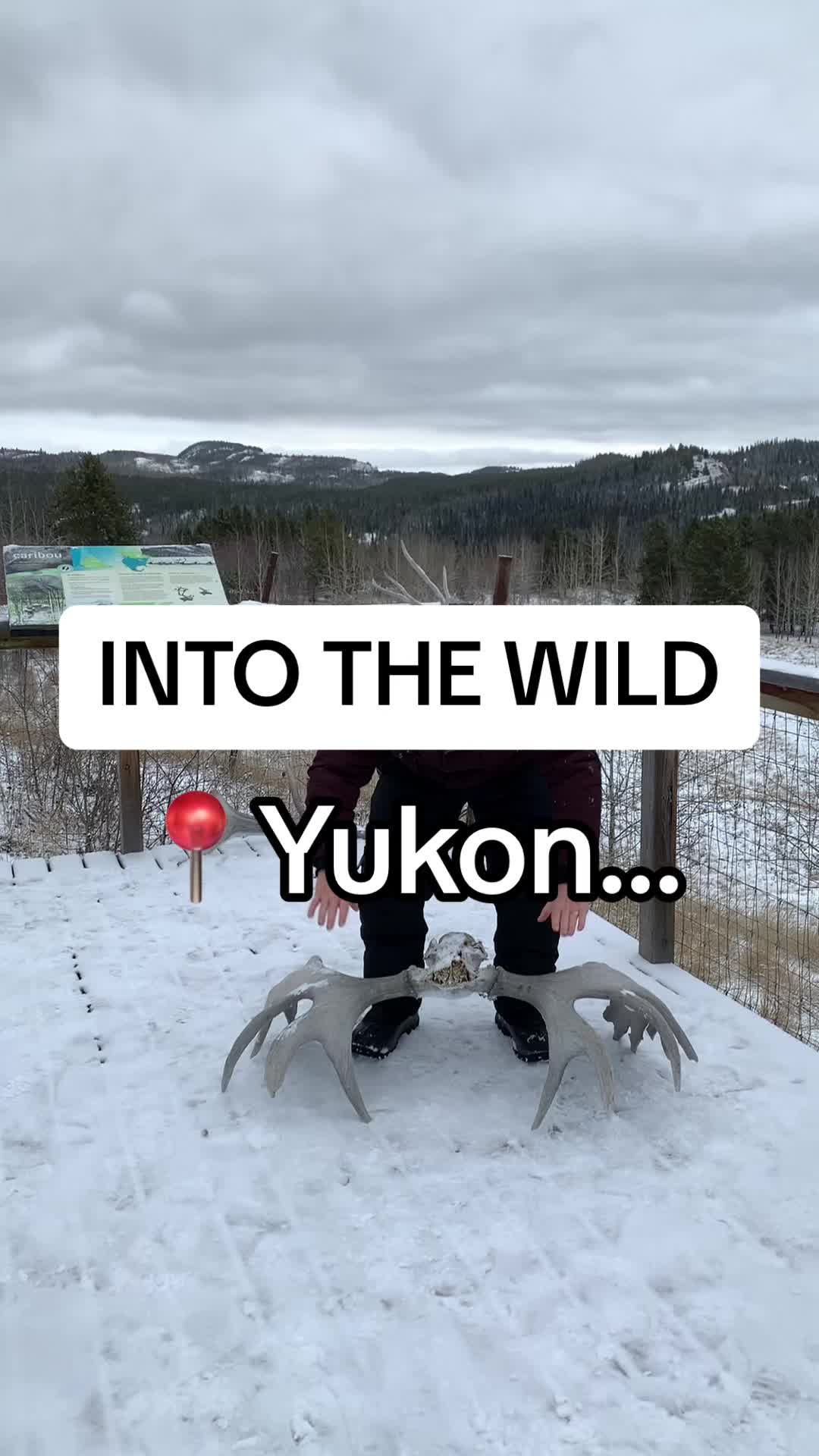 Yukon Wildlife Preserve