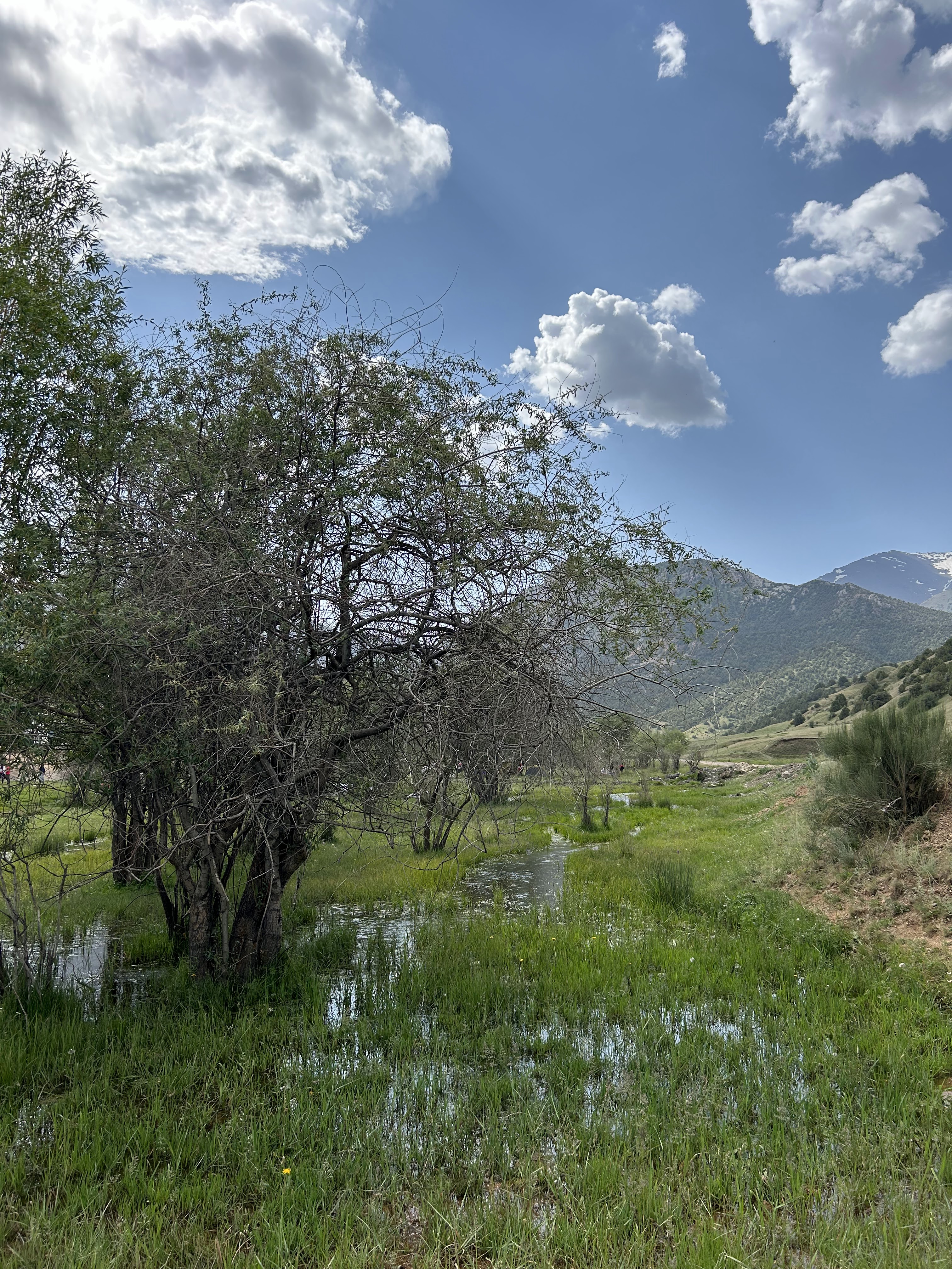 פארק זמין (Zaamin National Park)