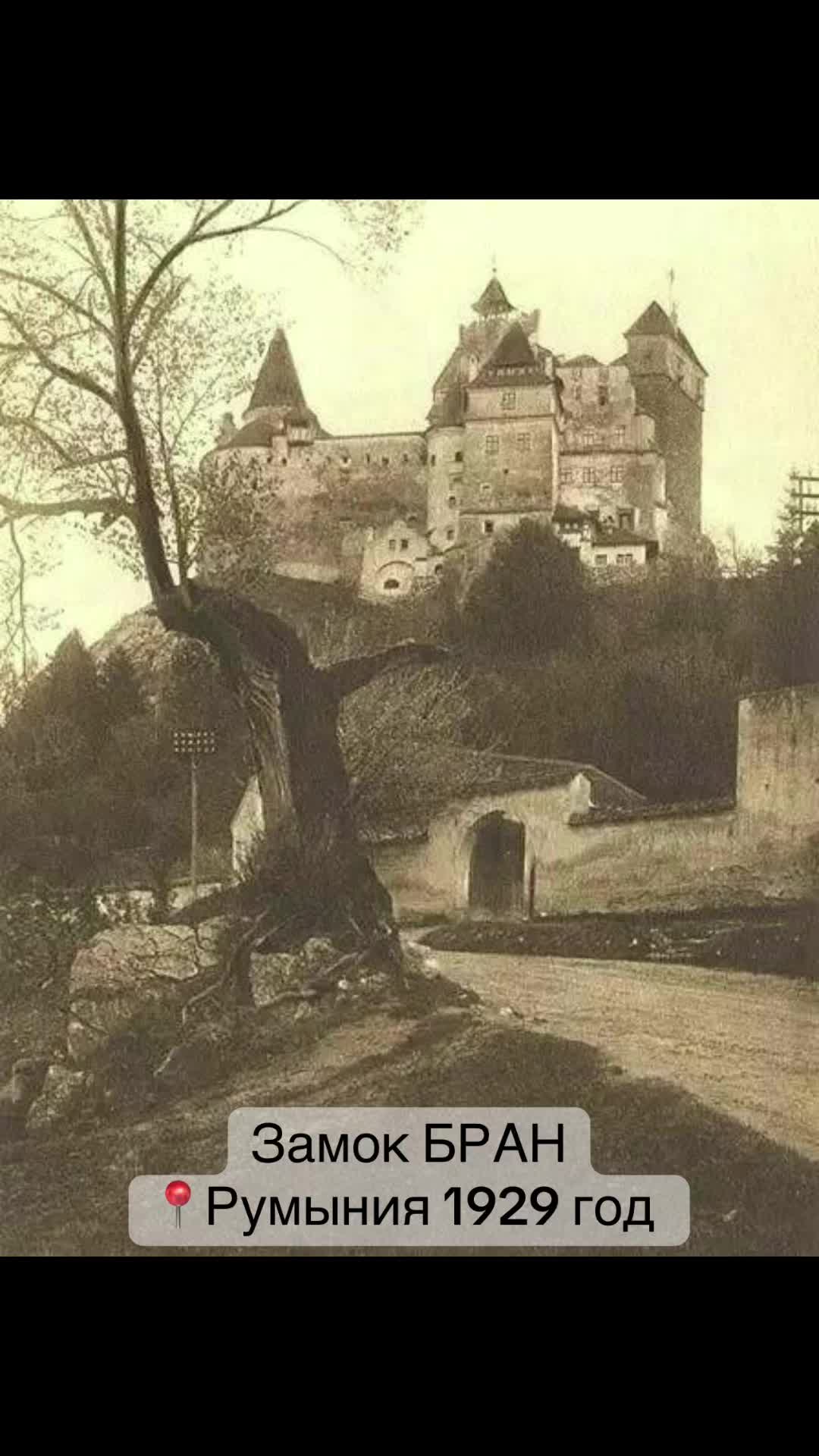 Замок Бран (Дракулы)
