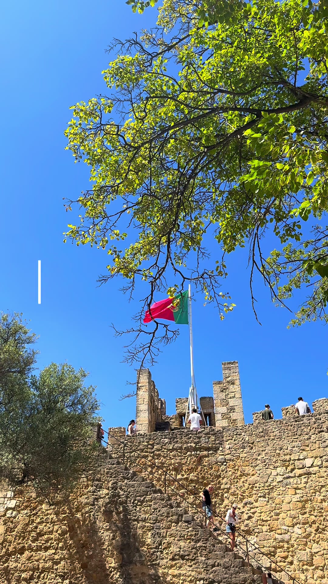 Замок Святого Георгия (Castelo de São Jorge)