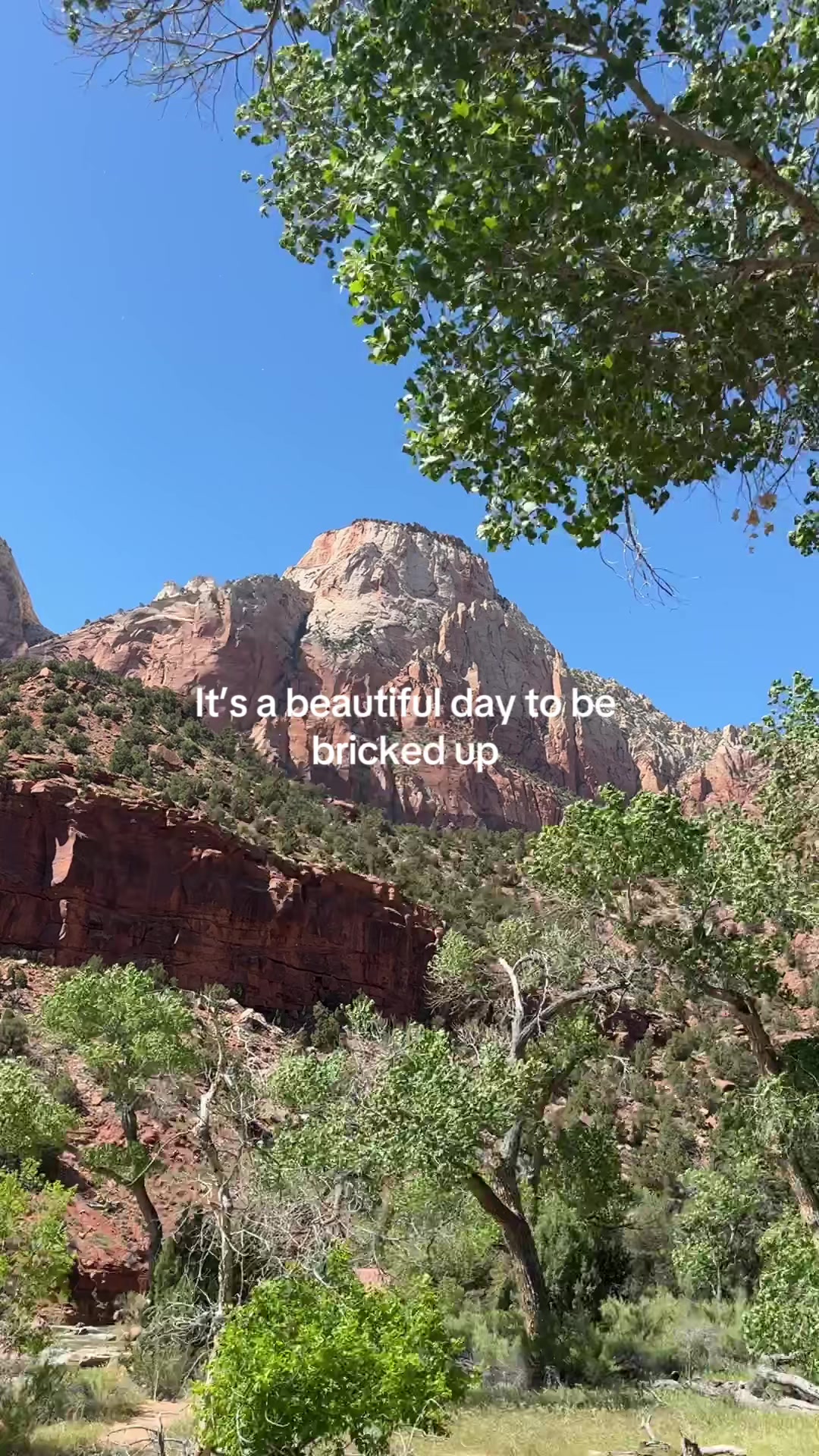 Zion National Park, UT