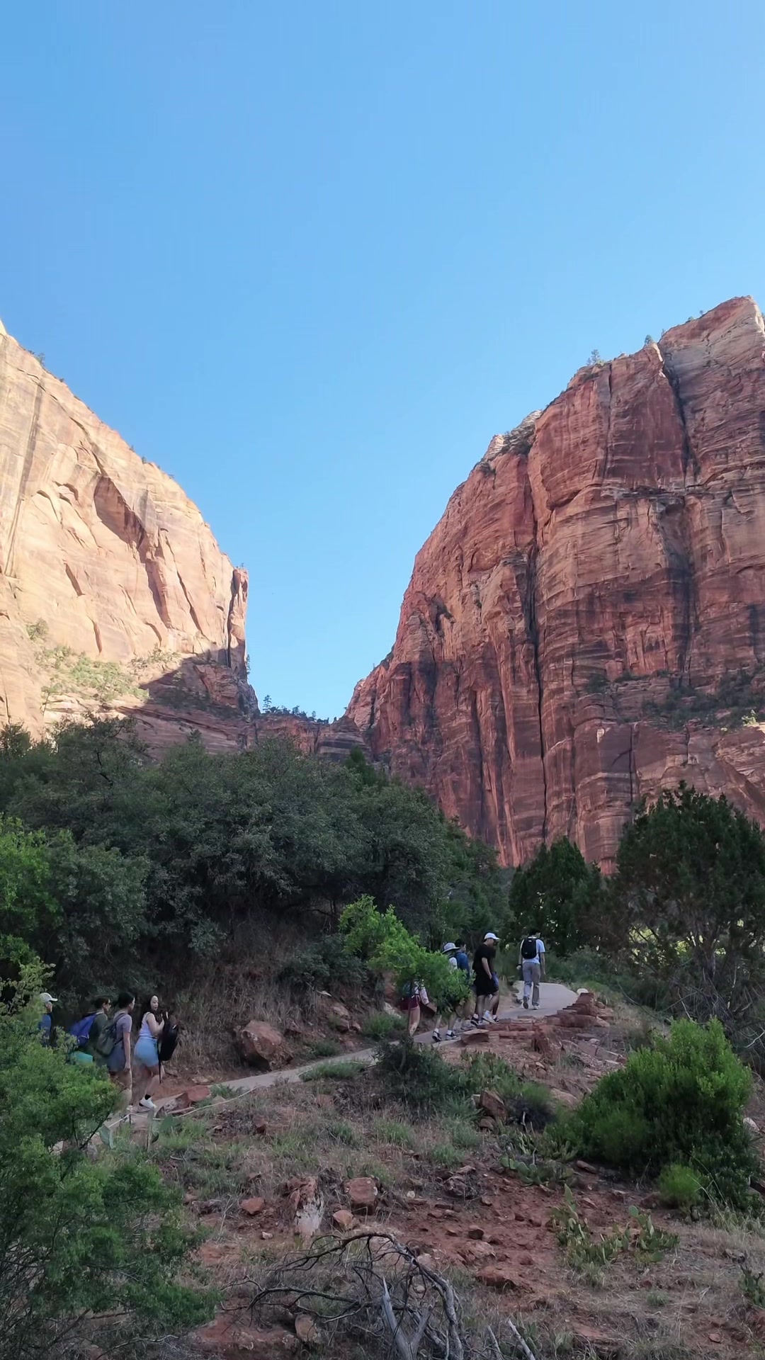 Zion National Park