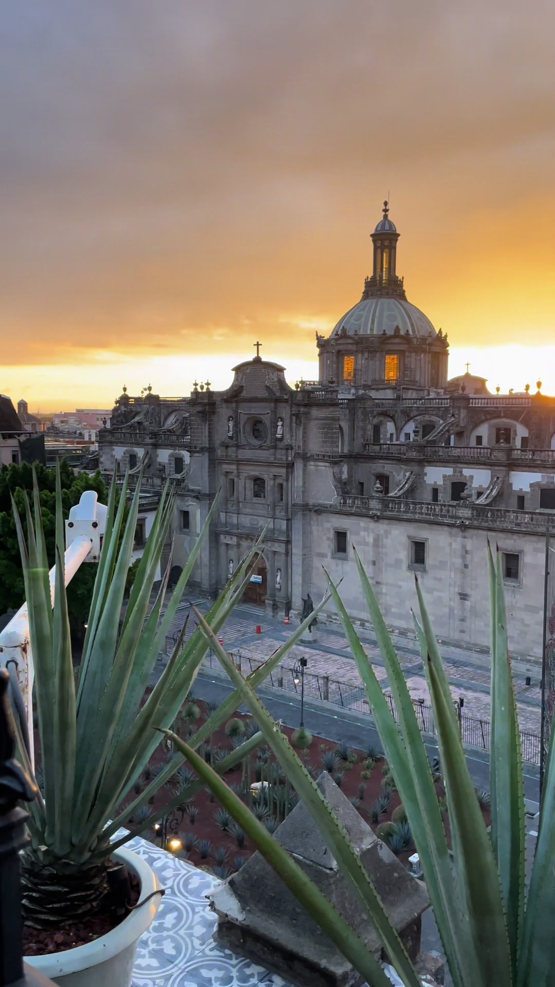 Zocalo