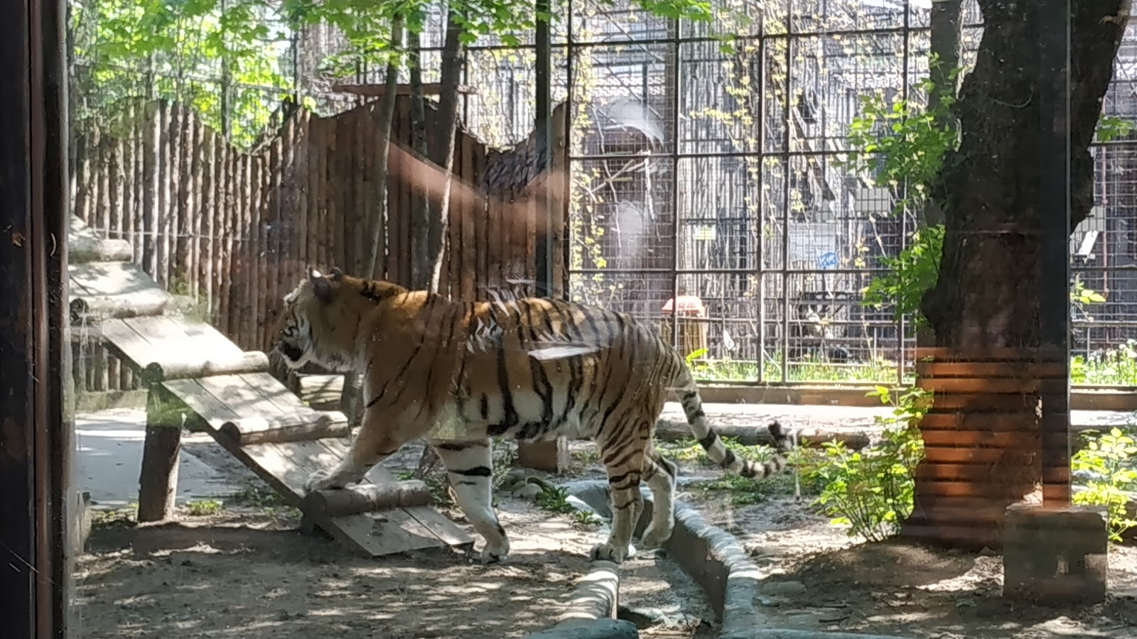 גן החיות של בוקרשט - Bucharest Zoo
