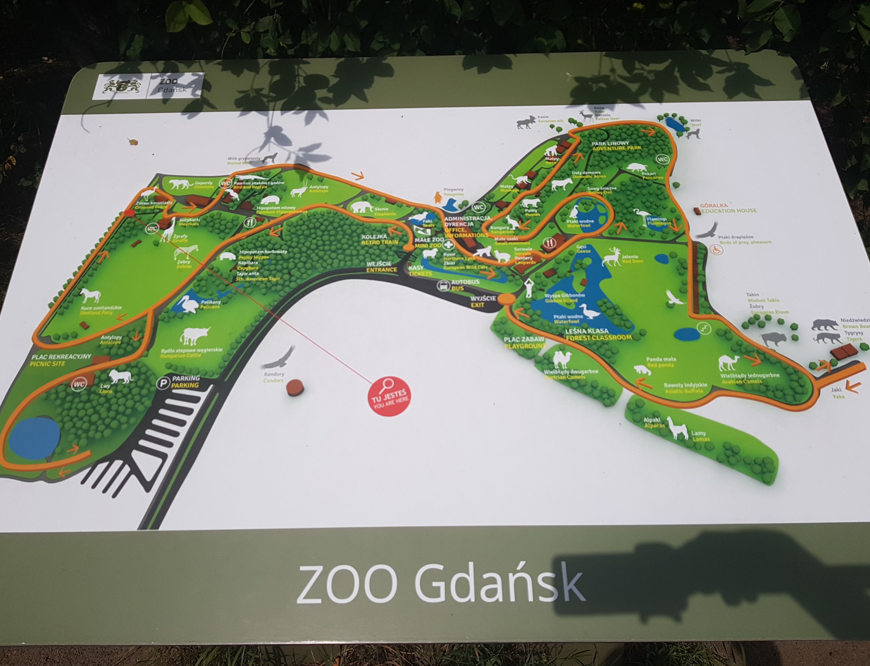 מסלול טיול 3 ימים בגדנסק עם ילדים