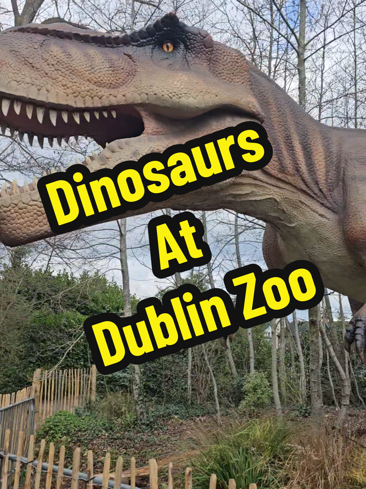 Zoorassic Trail at Dublin Zoo