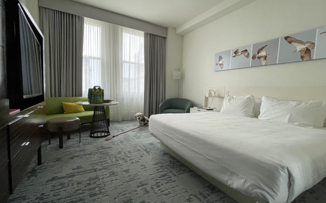 Picture for 21c Museum Hotel Lexington (Lexington, KY)