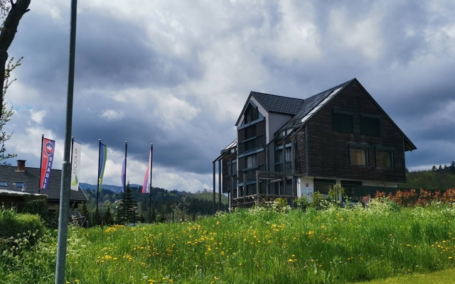תמונה עבור Eco Boutique Hotel AMS Beagle