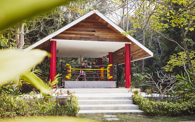 תמונה עבור Anantara Golden Triangle Elephant Camp & Resort, Thailand