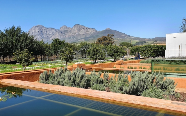 Picture for Babylonstoren