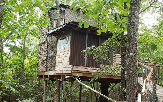 Picture for The Hobbit House