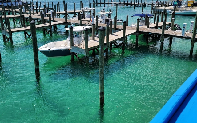 Picture for Bimini Blue Water Resort