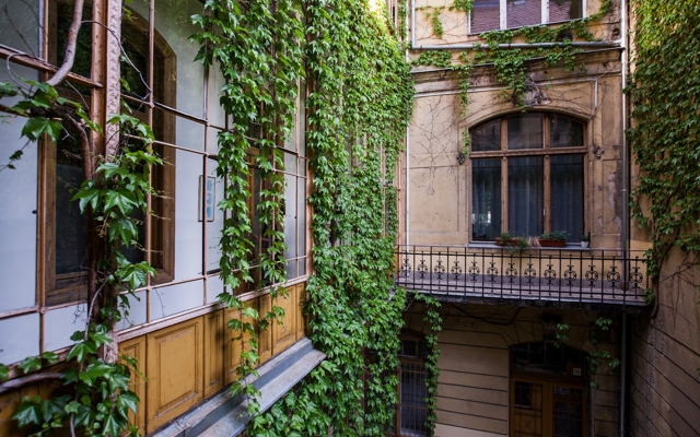 Изображение для Brody House