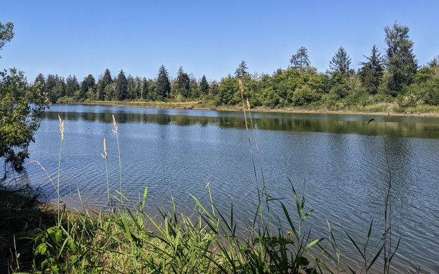 Picture for Chehalis River Surge Plain Natural Area Preserve
