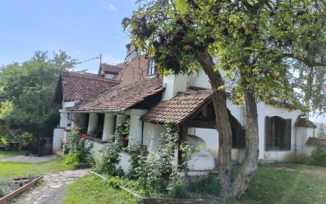 תמונה עבור Count Kalnoky’s Guesthouses