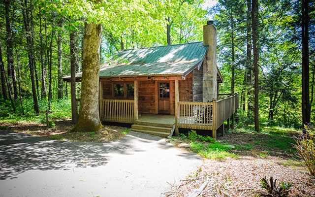 Picture for Dancing Bear Lodge