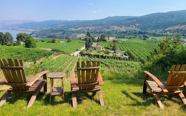 Picture for E'Laysa Guesthouse and Vineyard Retreat