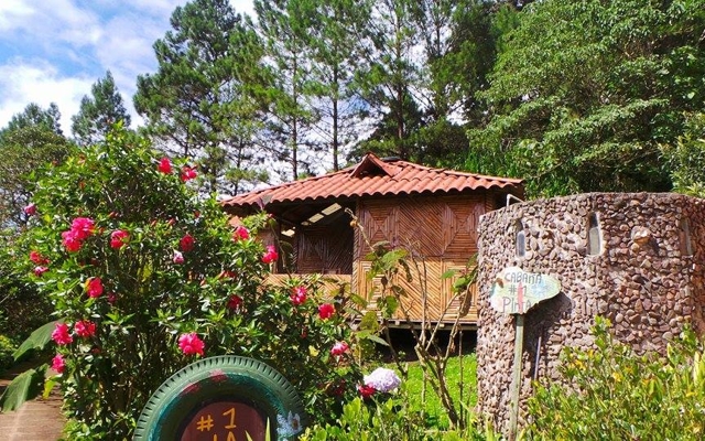 Picture for Finca Neblina del Bosque