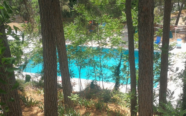 תמונה עבור Forest Park Hotel