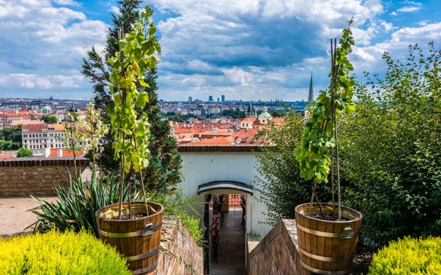 תמונה עבור Golden Well Hotel (U Zlaté Studně)