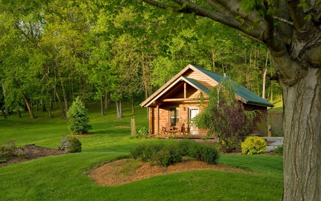 תמונה עבור The Goldmoor Inn