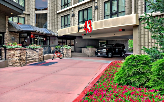 Picture for Hotel 43
