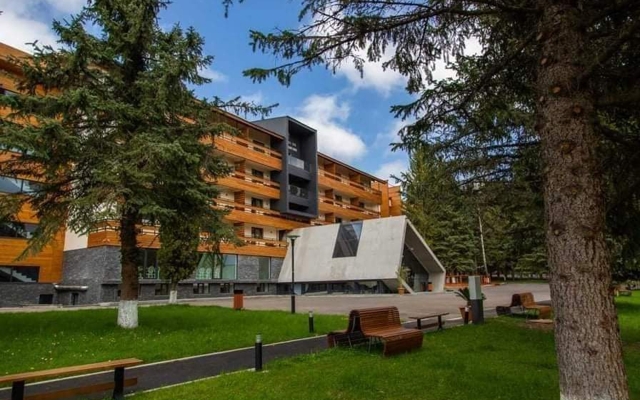 תמונה עבור Bakuriani Inn