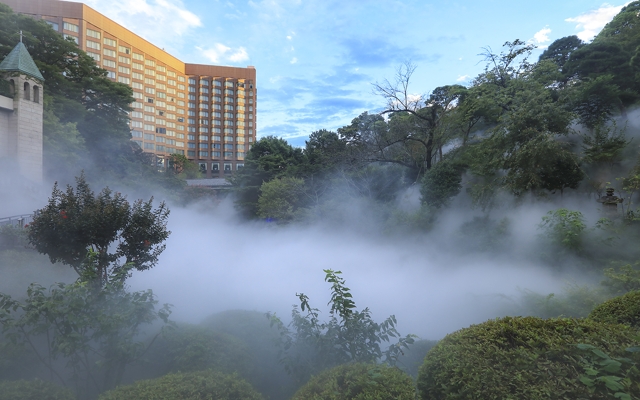 תמונה עבור Hotel Chinzanso Tokyo
