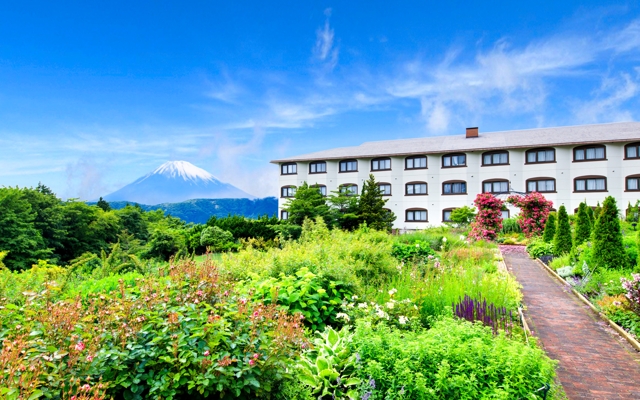 תמונה עבור Hotel Green Plaza Hakone