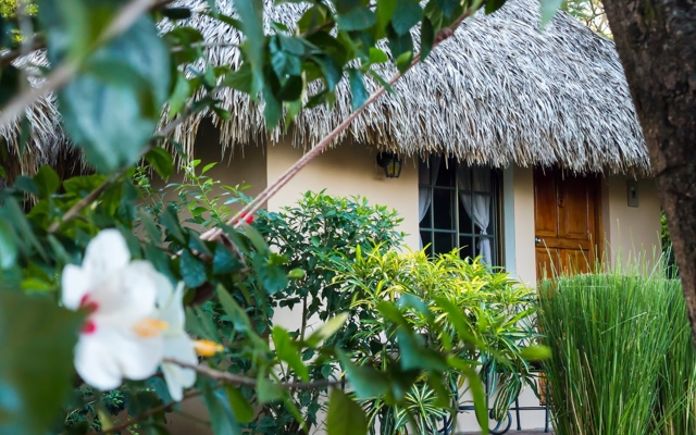 Picture for Hotel Mariposa