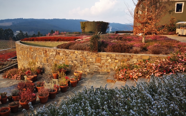 תמונה עבור Monverde Wine Experience Hotel