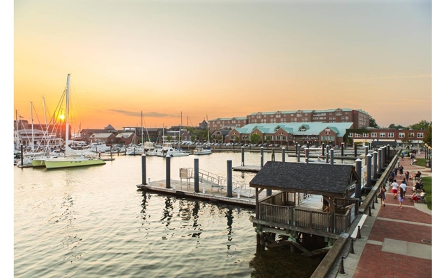 Picture for Ocean Romance Dockside Bed & Breakfast Yacht