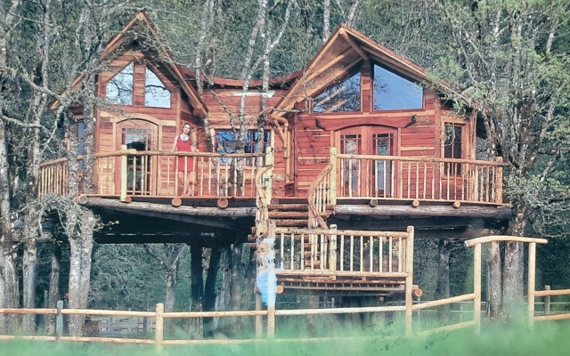Picture for Out'n'About Treehouse Treesort