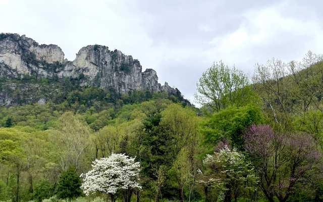 Picture for Seneca Rocks Discovery Center