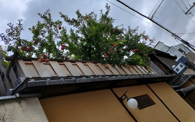 Изображение для Sumiya Ryokan