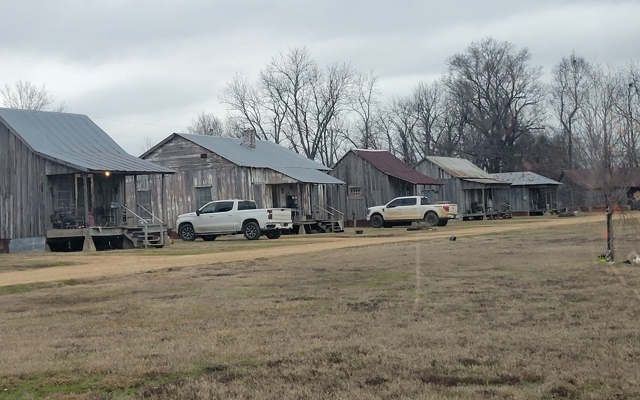Picture for Tallahatchie Flats