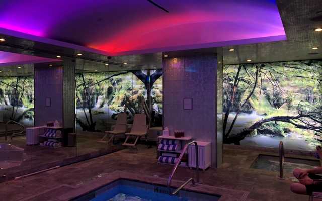 Picture for The Chatwal, a Luxury Collection Hotel