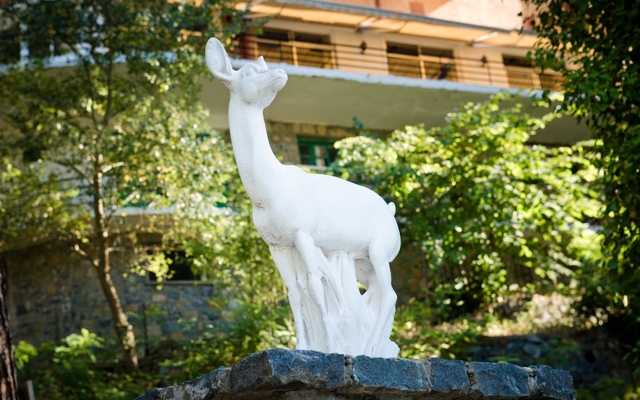 תמונה עבור Forest Park Hotel