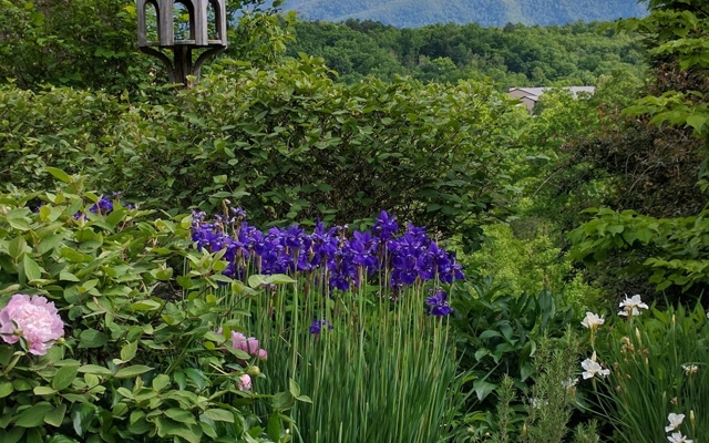 Picture for The Lodge at Buckberry Creek