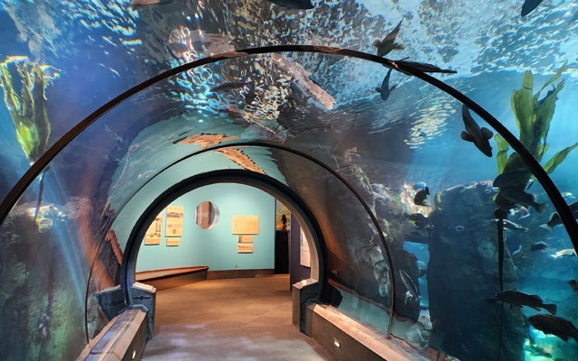 Picture for The Oregon Coast Aquarium