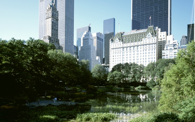תמונה עבור The Plaza Hotel in NYC