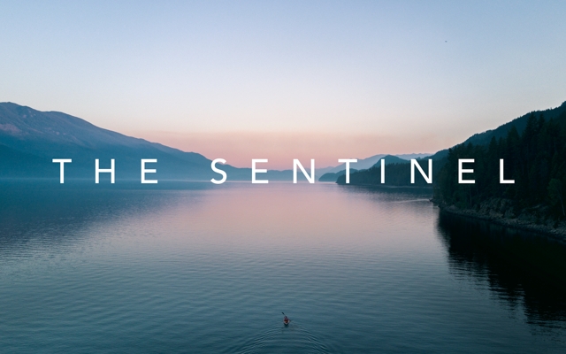 Picture for The Sentinel