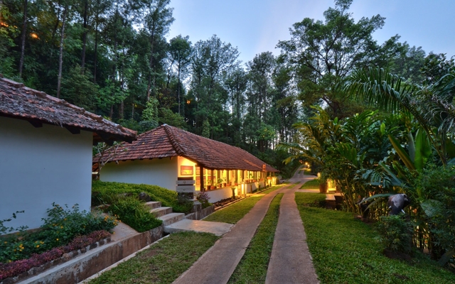 Picture for The Tamara Coorg