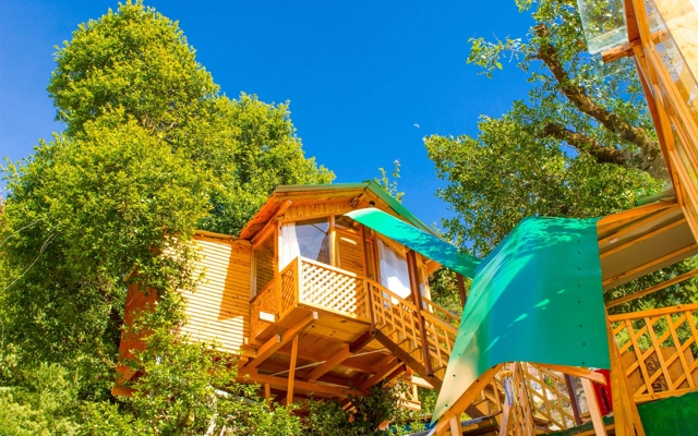 Picture for The Tree House Resort, Manali