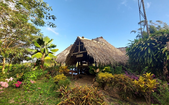 Picture for Totoco Eco-Lodge