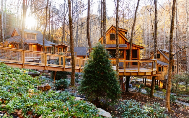Picture for Treehouse Grove at Norton Creek