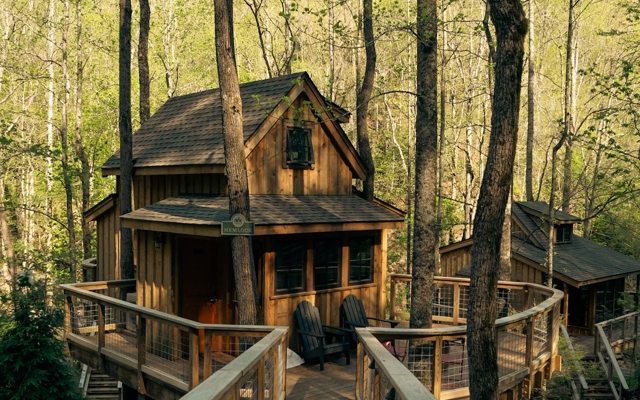 Picture for Treehouse Grove at Norton Creek