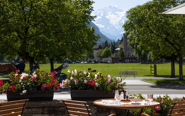 תמונה עבור Victoria Jungfrau Grand Hotel & Spa, אינטרלאקן