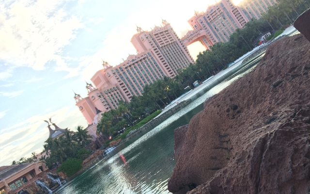 Picture for Atlantis Paradise Island